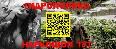 крисы Гусев