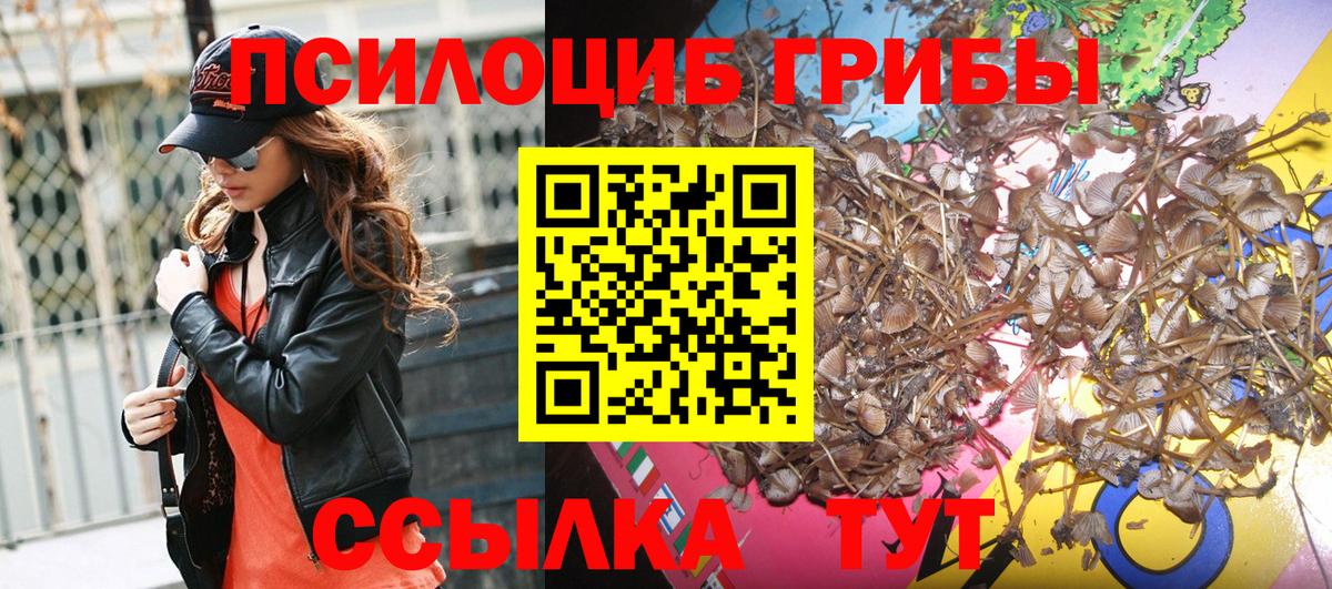 Галлюциногенные грибы Cubensis Волжский