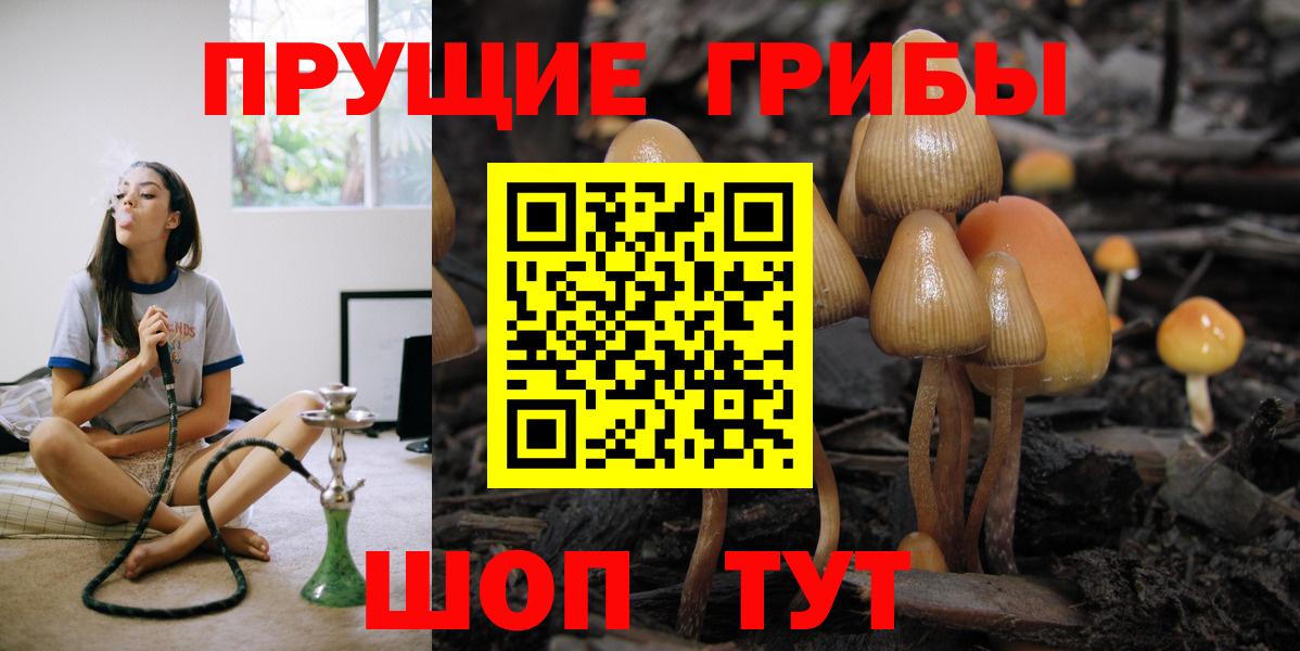 Волжский  Галлюциногенные грибы мухоморы  купить наркотик  Вход с VPN 